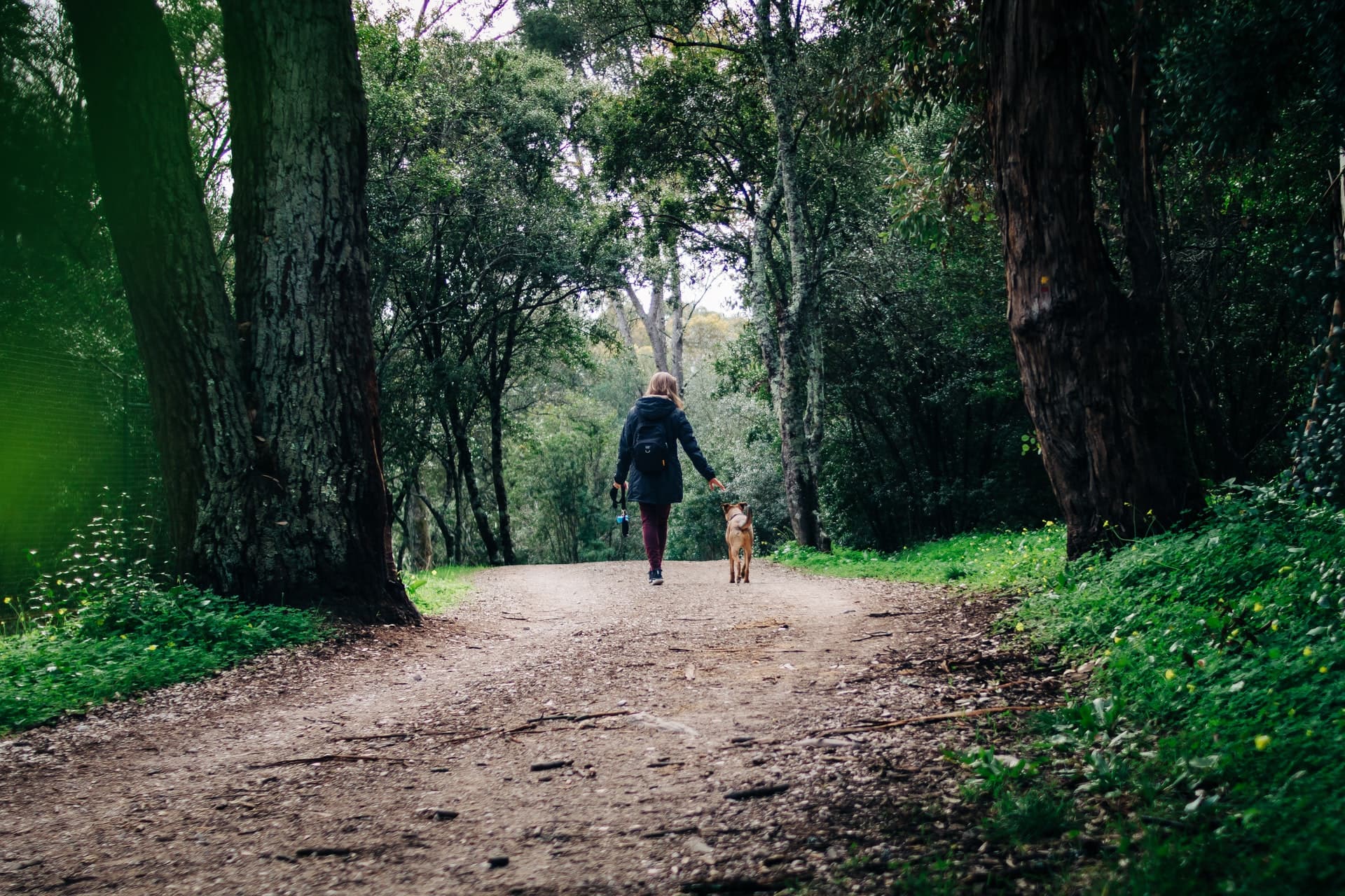 Patient walking a dog through a forest